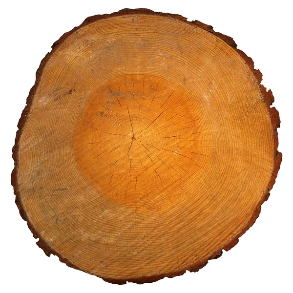Stock image Wood