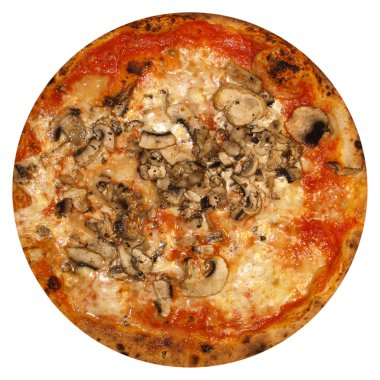 mantarlı pizza