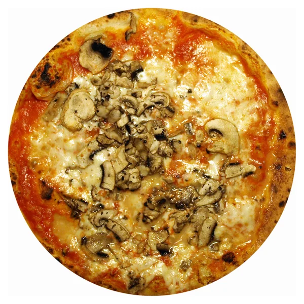 Грибная пицца — стоковое фото