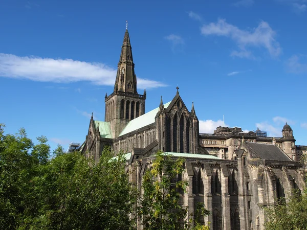 Cathédrale Glasgow — Photo