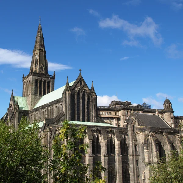 Katedrála v Glasgow — Stock fotografie