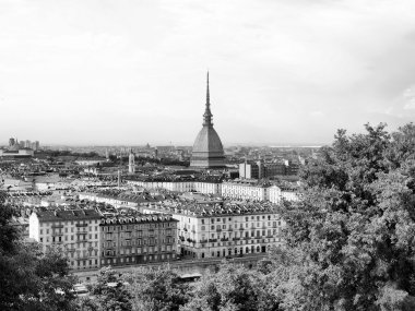 Turin view clipart