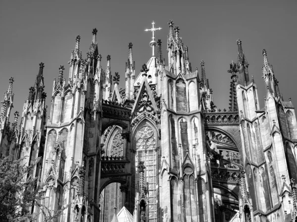 Koeln katedralen — Stockfoto
