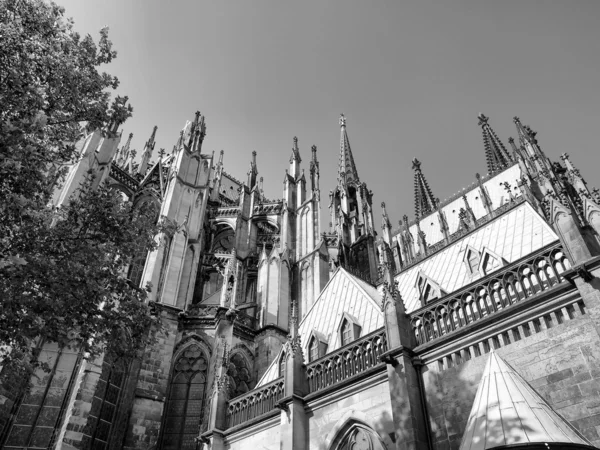 科隆大教堂 — 图库照片
