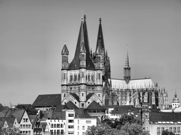 Cathédrale de Koeln — Photo