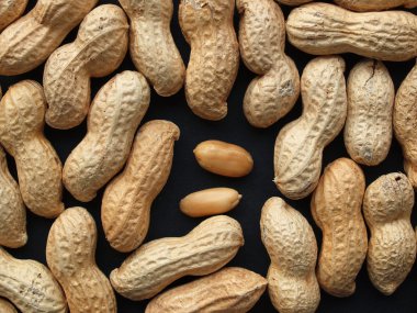 Peanut clipart