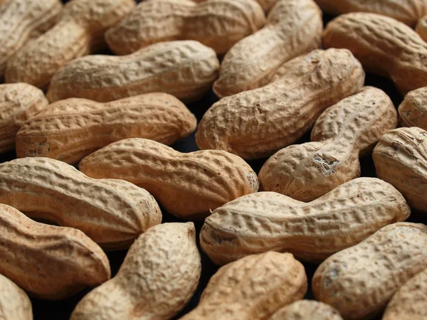 Peanut Dry Fruit Groundnut Arachis Hypogaea Beans Useful Background — Stock Photo, Image