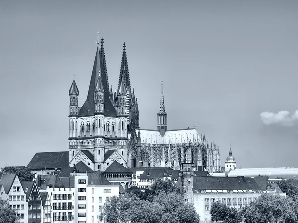 Καθεδρικός ναός Koeln — Φωτογραφία Αρχείου