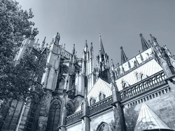 Koelner Dom Gotická Katedrála Kostel Koelnu Cologne Německo Vysokým Dynamickým — Stock fotografie