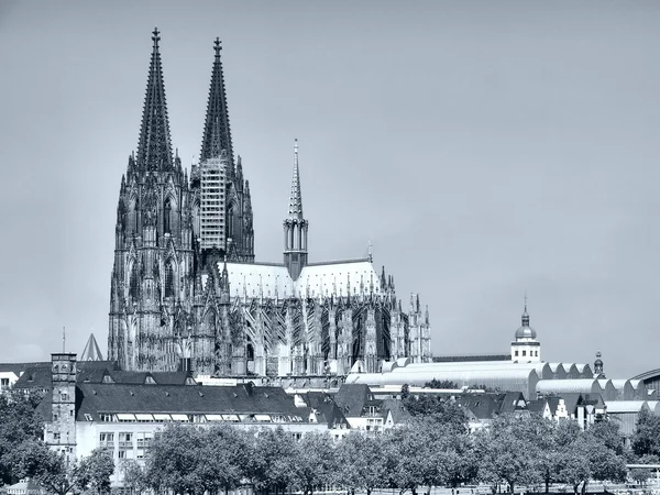 Koelner ケルン ケルン ドイツ Hdr 高ダイナミック レンジ 白と黒のゴシック様式カテドラル教会 — ストック写真