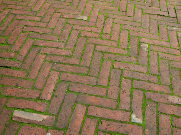 Brick sidewalk pavement — Φωτογραφία Αρχείου