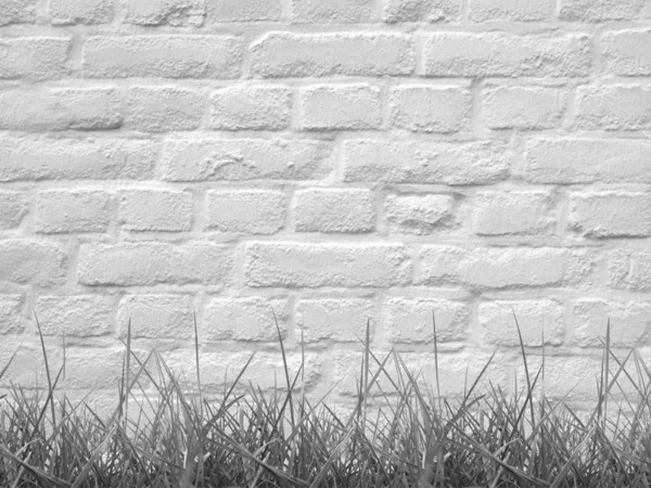 Трава и стена — стоковое фото