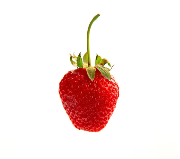 Single strawberry isolated on white background — Stock Photo, Image