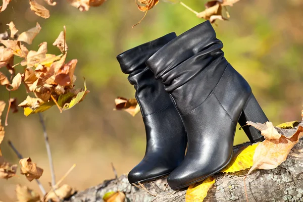 Pair of black female boots in autumn park — Stock Photo, Image