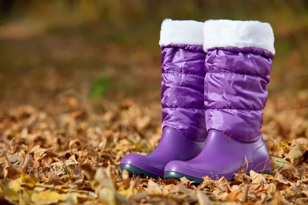 Pair of violet female boots with white edging in autumn foliage — Stock Photo, Image