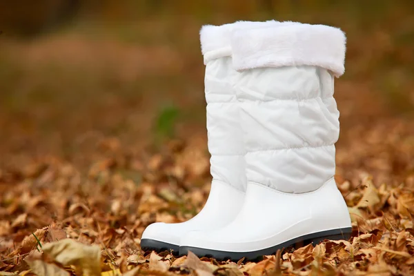 Ζευγάρι λευκό θηλυκό μπότες σε τα φθινοπωρινά φυλλώματα — Φωτογραφία Αρχείου