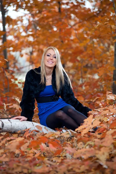 Młoda piękna kobieta siedzi na drzewie przed jesienią liście — Zdjęcie stockowe