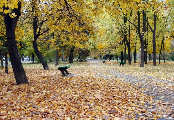 Aleja Park jesienią — Zdjęcie stockowe