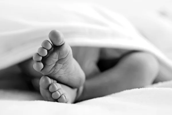 Pasgeboren voeten — Stockfoto