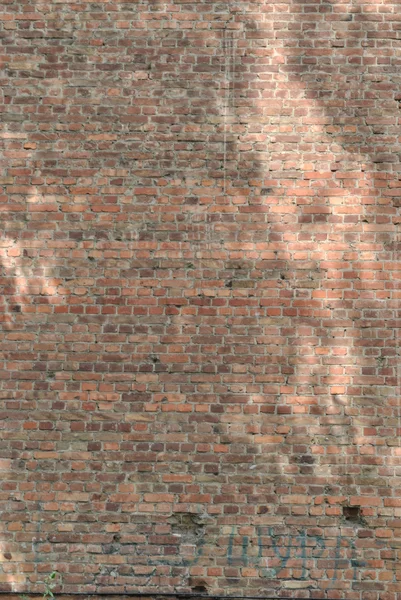 A wall of red bricks in sunshine and in shadow — Stock Photo, Image