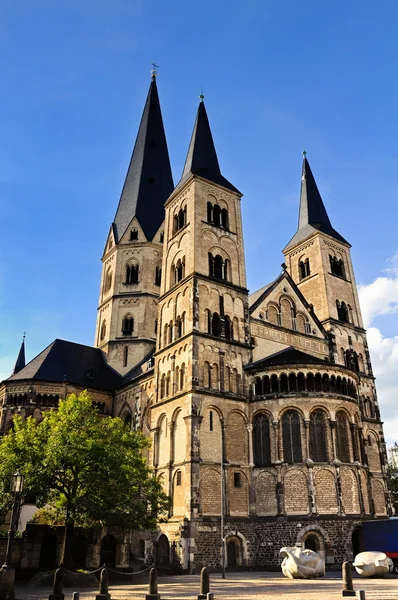 ミュンスター大聖堂ボン ロイヤリティフリーのストック画像