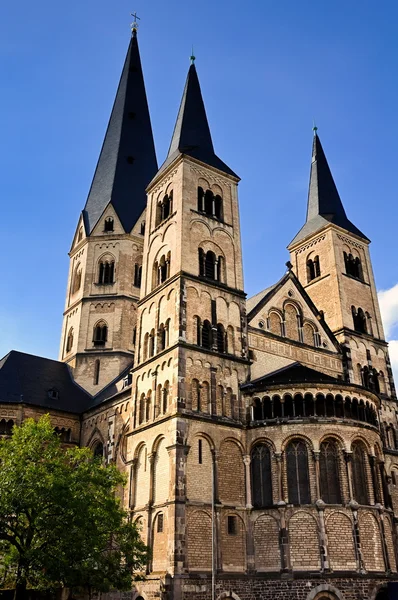 Muenster Basilica di Bonn — Foto Stock
