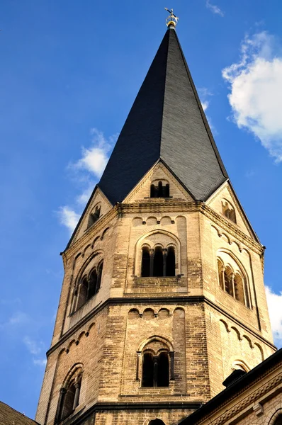 Detalle Basílica Muenster Bonn Alemania —  Fotos de Stock
