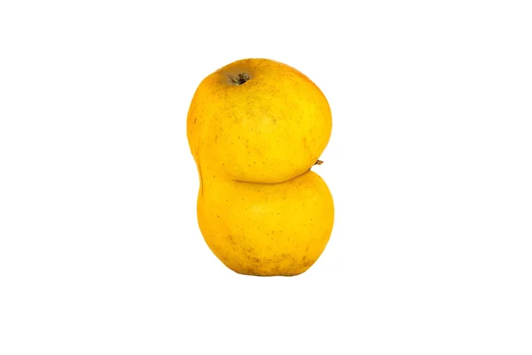 Twee Verbonden Gele Appels Witte — Stockfoto