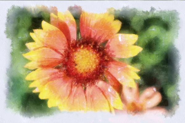 En akvarell bild av en blomma Royaltyfria Stockfoton