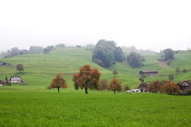 swiss kırsal kesimde sisli sonbahar