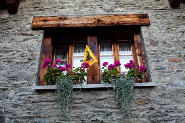 Вікно з горщиками квітів — стокове фото