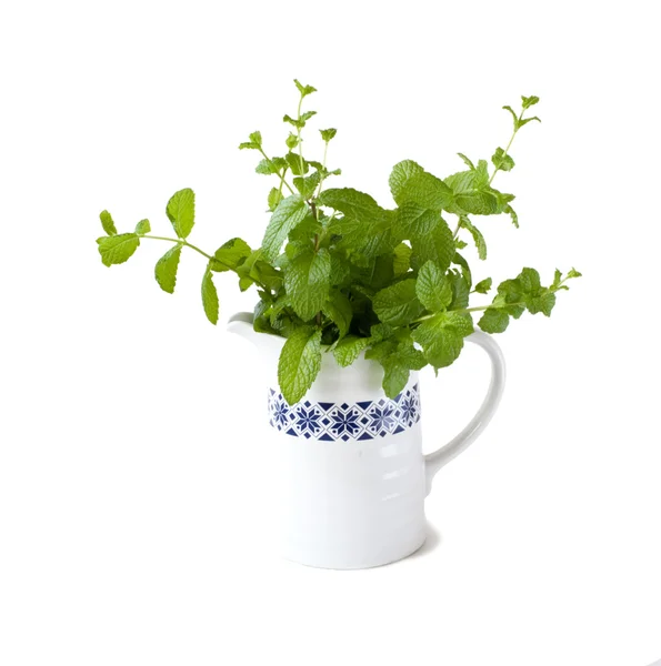 Vase with peppermint — Stock Photo, Image
