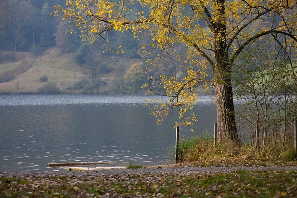 stock image Landscape with autumn lake