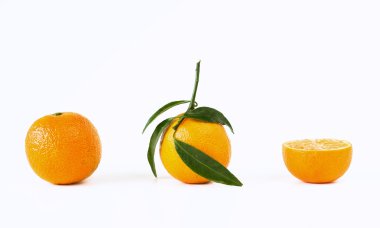 Mandarine kavramı