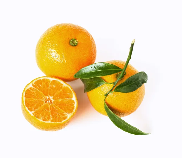 Concepto de mandarina — Foto de Stock