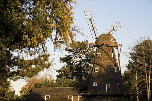 Windmolen in elmhurst — Stockfoto