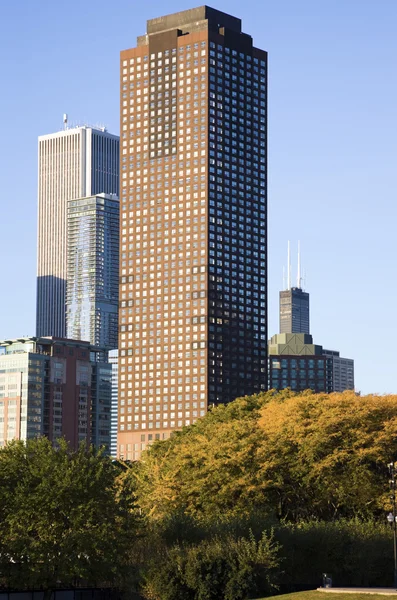 Queda em Chicago — Fotografia de Stock