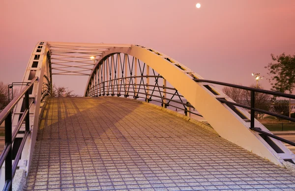 Pedestrian Bridge over Lake Shore Drive — Stock Photo, Image