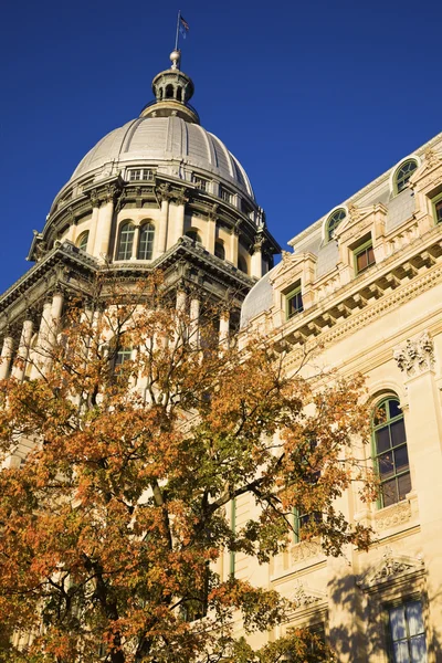 Springfield, Illinois Capitolio del Estado — Foto de Stock