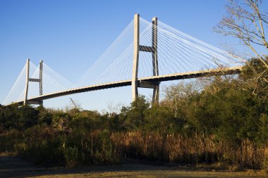 Talmadge Memorial Bridge clipart