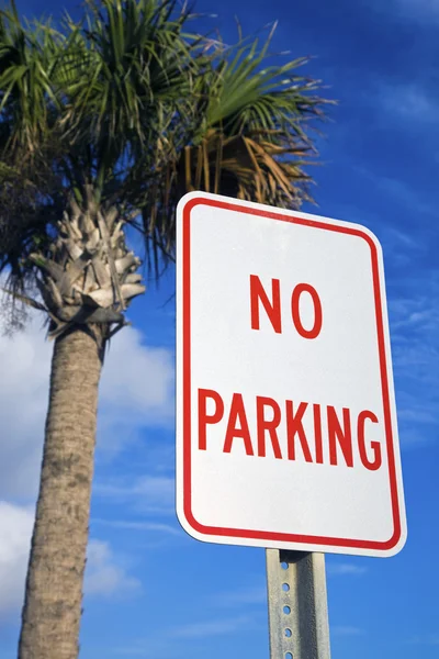 Geen parking onder de palm — Stockfoto