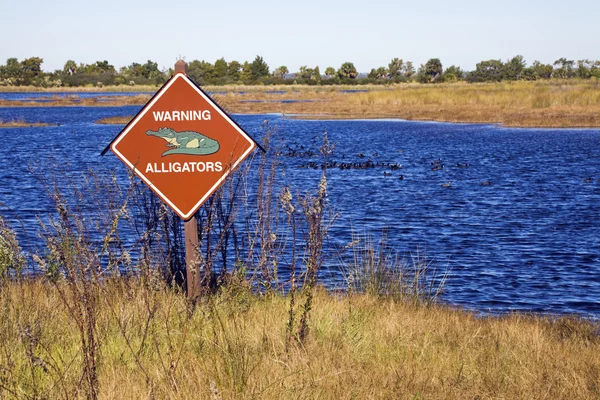 Alligatori! - segnale di avvertimento . — Foto Stock