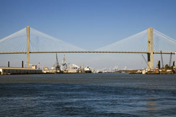 Jembatan Peringatan Talmadge di Savannah, Georgia . — Stok Foto