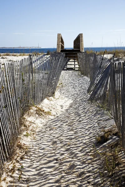 Path to the beach — Stock Photo, Image