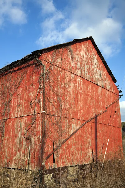 赤い納屋 — ストック写真