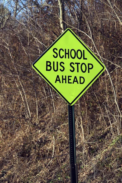 Σχολικό λεωφορείο στάση μπροστά — Φωτογραφία Αρχείου