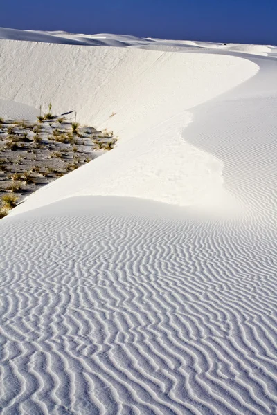 Morgon i vita sanddyner nationalmonument — Stockfoto