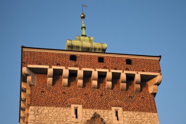 Krakow Polonya 'daki St. Florian Kapısı.