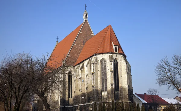 stock image Basilica in Wislica