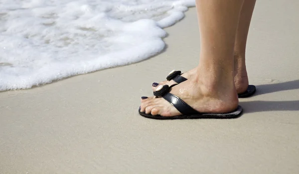 stock image Morning on the beach